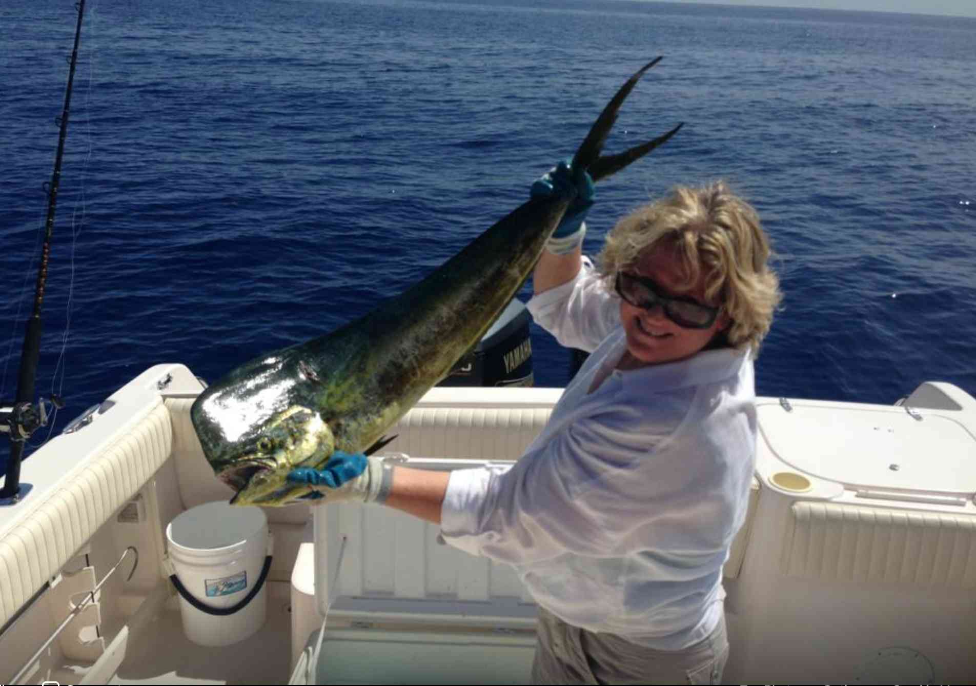 Arlene Big Dolphin